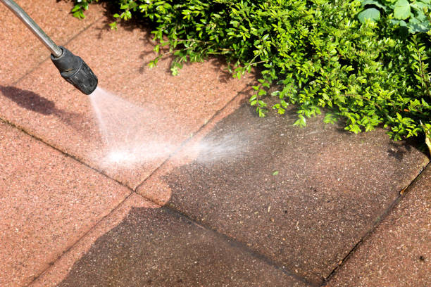 Best Power Washing Near Me  in Freedom, PA